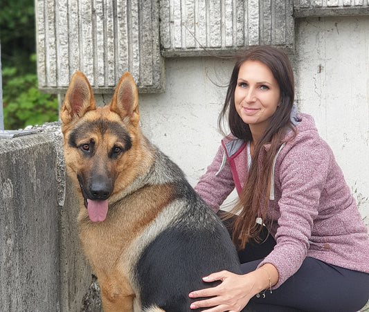 Falošná nevesta Elišky Melušovej srší dobrodružstvom, zápletkami a hlavne láskou. A ten hlavný hrdina...